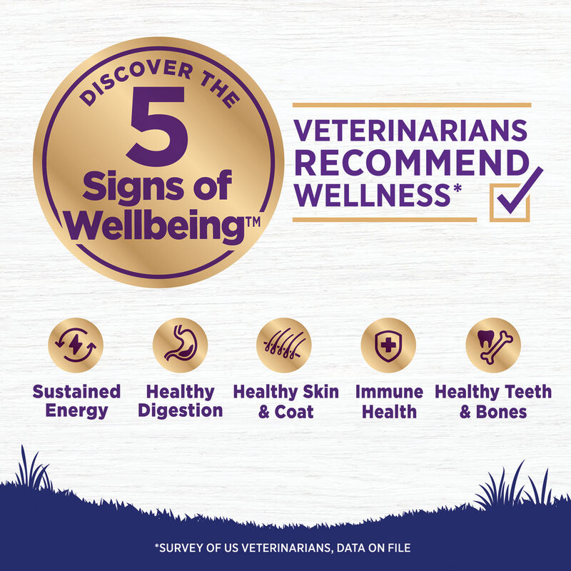 Wellness, Large Breed Complete Health, Deboned Chicken, Brown Rice - Dry Dog Food image number null