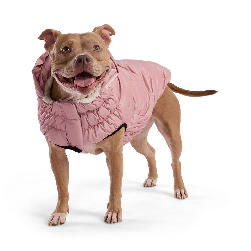 GF Pet, Lunar Glow Parka - Pink image number null