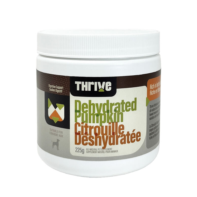 Pumpkin Powder - 225 g image number null