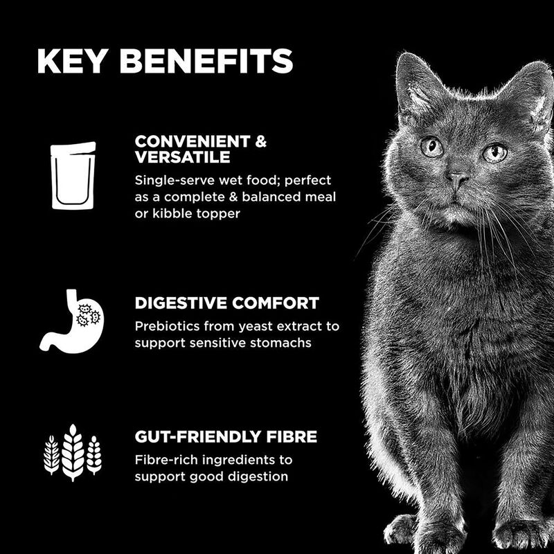 GO! SOLUTIONS,  BOOSTER Digestive Health Tuna + Salmon Pate - 71 g - Wet Cat Food image number null
