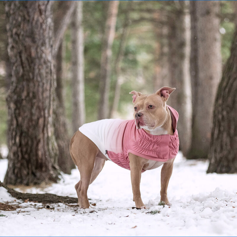 GF Pet, Good Vibes Hoodie - Pink image number null