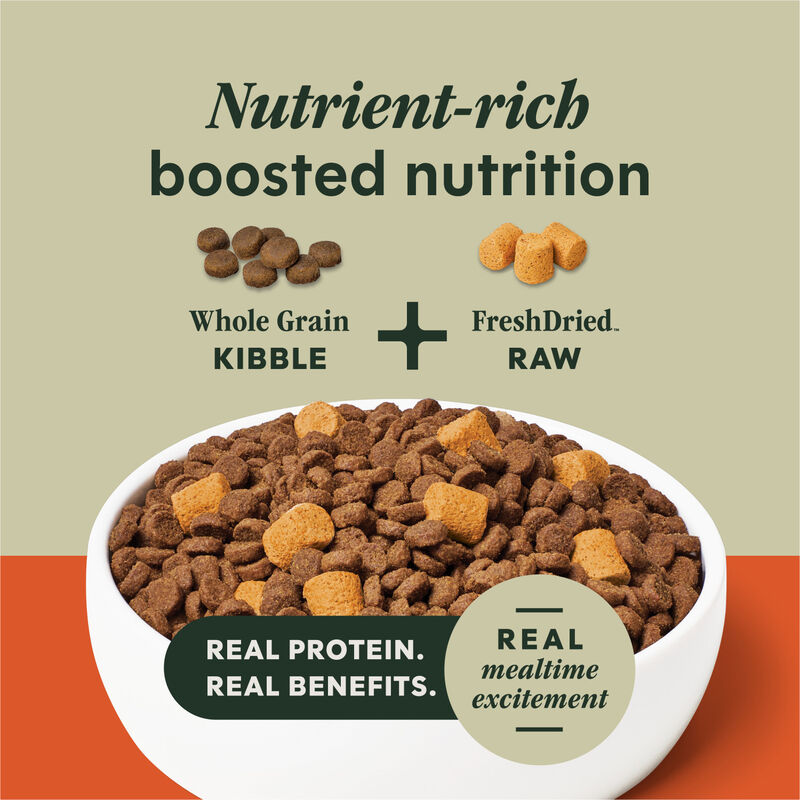 Instinct, Raw Boost Whole Grain Gut Health Chicken image number null