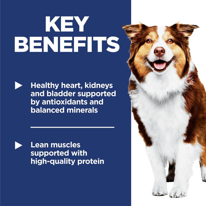 Science Diet, Senior 7+ Dog Chicken Meal, Barley, & Rice image number null
