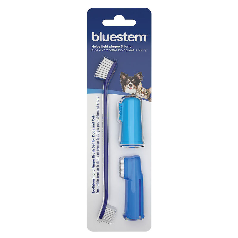 Bluestem, Toothbrush & Finger Brush &ndash; Dog & Cat Dental image number null