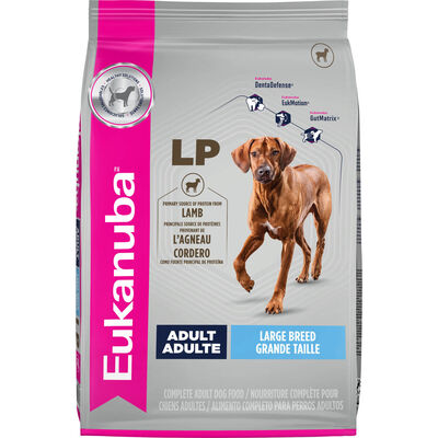 Eukanuba, Adult Lamb Large Breed - Dog Dry Food