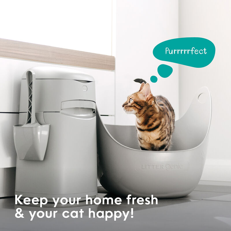 Litter Genie, Easy Roll Cat Litter Disposal System, Scoop, Holder & Refill (Up To 4 Months) image number null