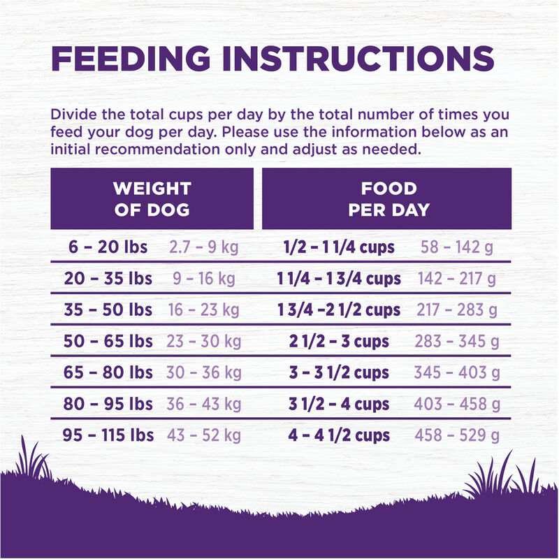 Wellness, Senior Complete Health - Debonded Chicken & Barley - 11.8 kg - Dry Dog Food image number null
