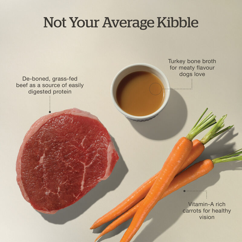 Good Gravy - Beef Coated in Bone Broth - Dry Dog Food image number null