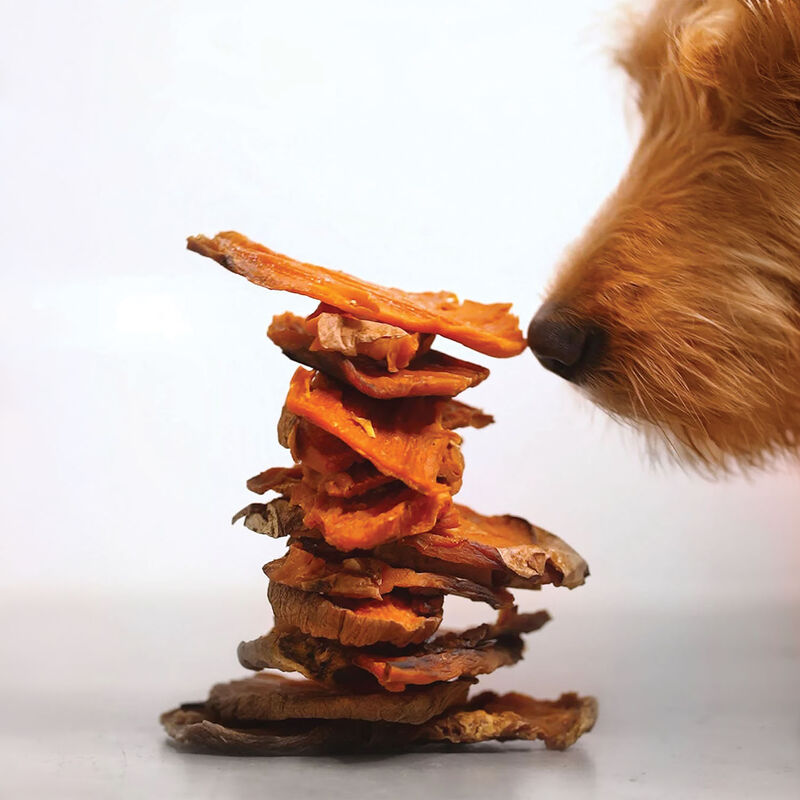 Healthybud, Sweet Potato Chews - Natural Dog Treat image number null