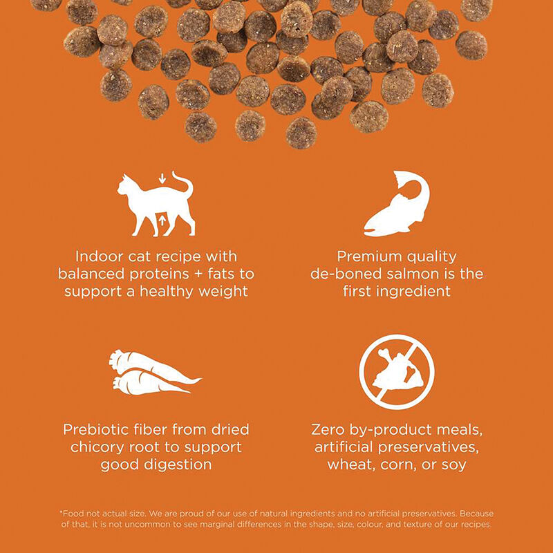 GO! SOLUTIONS SKIN + COAT CARE Grain Free Salmon Recipe for cats image number null