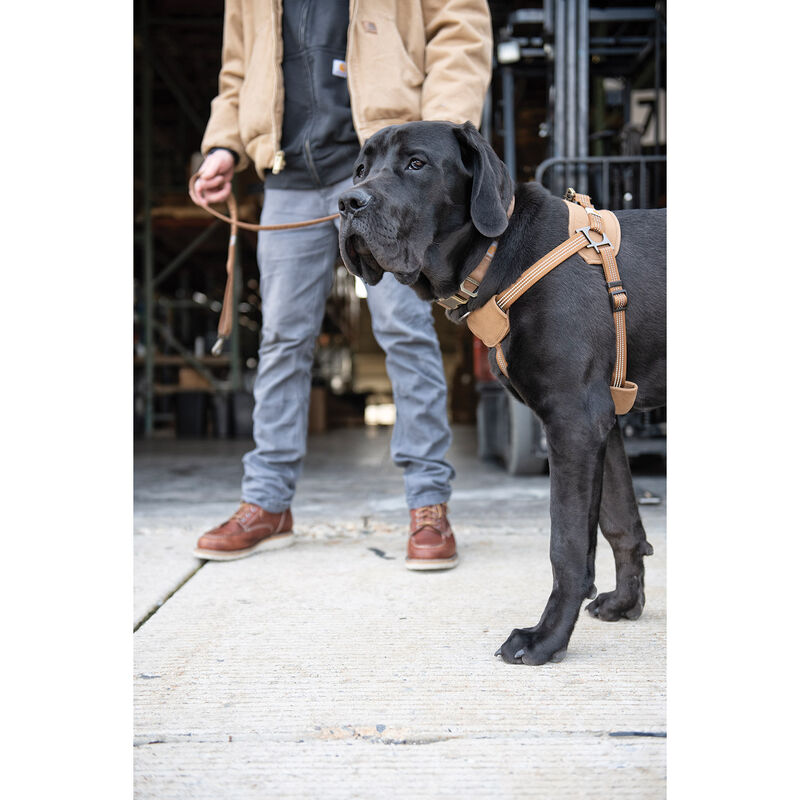 Carhartt Nylon Duck Walking Dog Harness - Light Brown image number null
