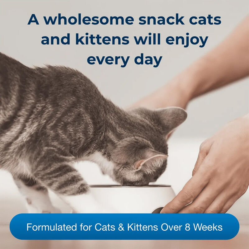 PetAg, Catsip - Real Milk Treat -  4 x 8oz image number null