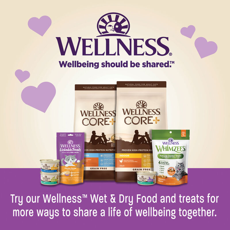 Wellness, Lickable Puree GF Treats - Tuna - 72 g - Cat Treats image number null