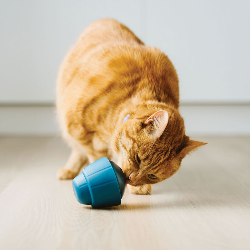 BeOneBreed OBEE! Cat Snak image number null