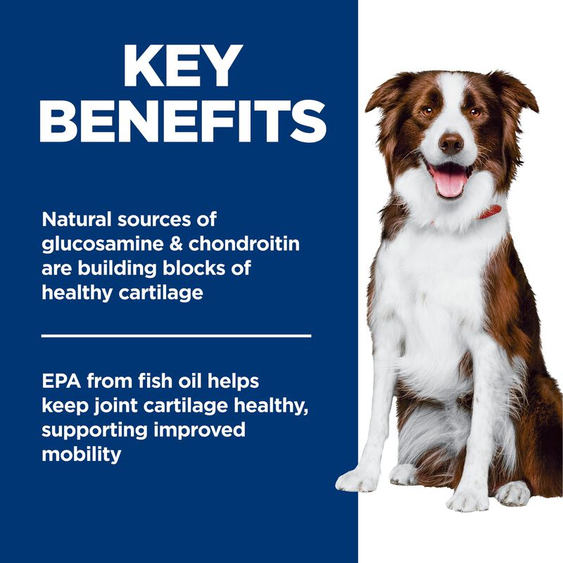 Science Diet, Adult Healthy Mobility Large Breed - Chicken Meal, Rice & Barley Recipe - Dry Dog Food image number null