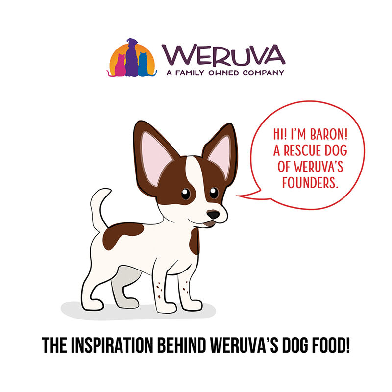 Weruva, Pouch, Adult - Double Dip - 80 g - Minced - Wet Dog Food image number null