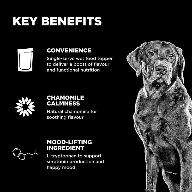 GO! SOLUTIONS,  BOOSTER Tranquility  Minced Chicken with gravy - 78 g - Wet Dog Food image number null
