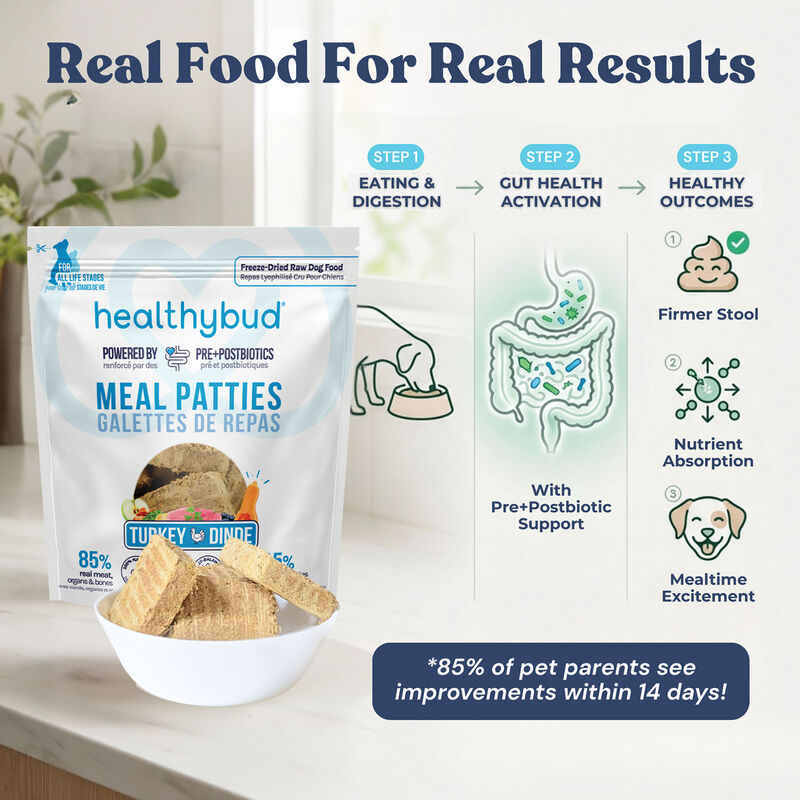 Healthybud, Freeze-Dried Turkey Meal Patties 397g - Freeze Dried Dog Food image number null