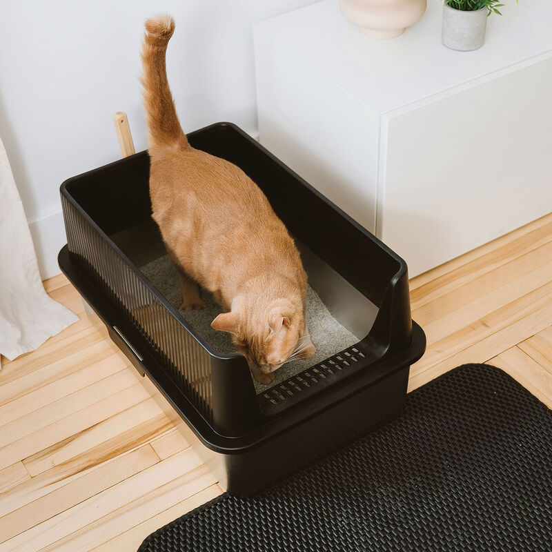 BeOneBreed Stainless Steel Litter Box - Large with High Sides image number null