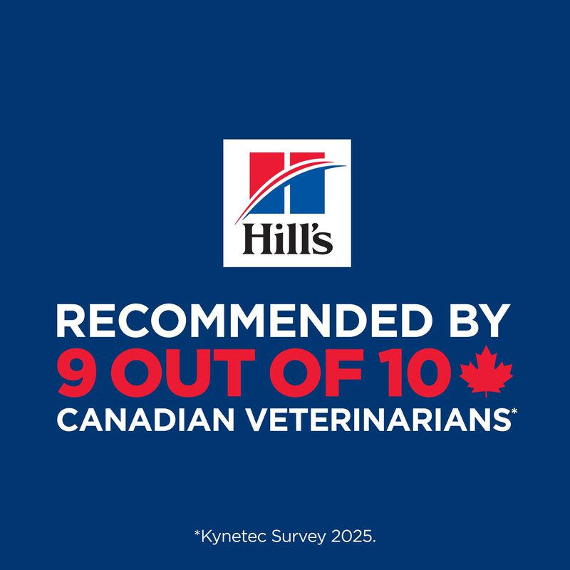 Science Diet, Adult Sensitive Stomach & Skin Chicken Recipe - Dry Dog Food image number null
