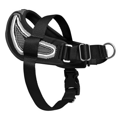 Canada Pooch, Re-Direct Harness - Black/Grey