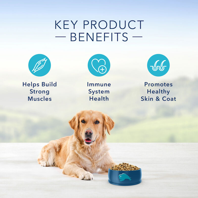 Blue Buffalo, Adult - LP - Lamb - Dry Dog Food image number null