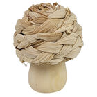 Ren&rsquo;s 50th Anniversary Short Mushroom Cat Toy image number null