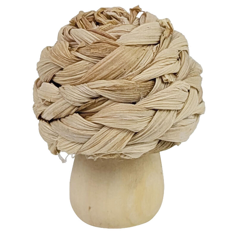 Ren&rsquo;s 50th Anniversary Short Mushroom Cat Toy image number null