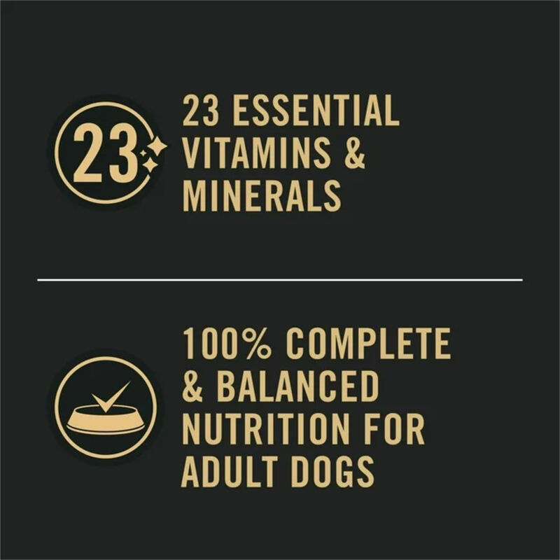 Pro Plan, Sensitive Skin & Stomach - Lamb & Oat in Gravy - Wet Dog Food image number null