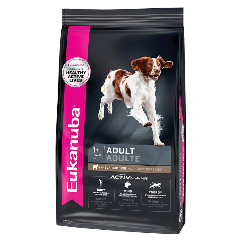 Eukanuba, Adult Lamb Small and Medium Breed - Dog Dry Food image number null