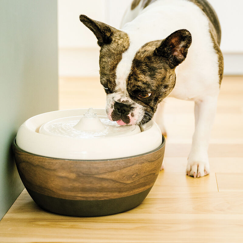 BeOneBreed, BEONE 2.0 Eco Pet Water Fountain image number null
