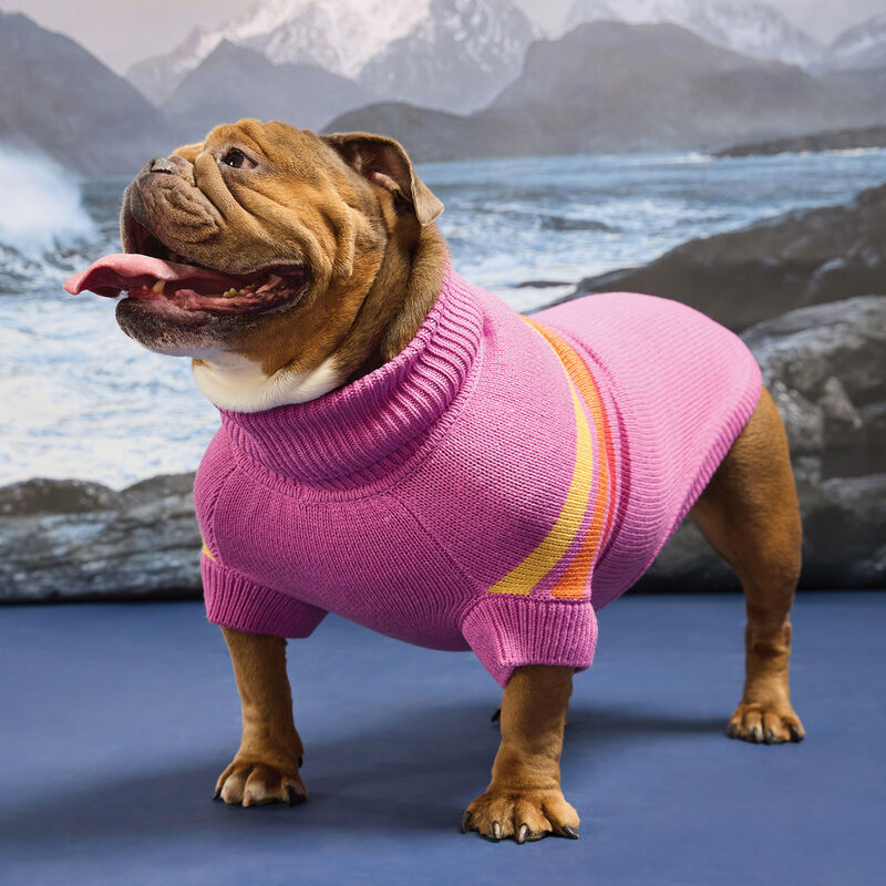 GF PET Sculpted Coastline Turtleneck - Pink Wave image number null