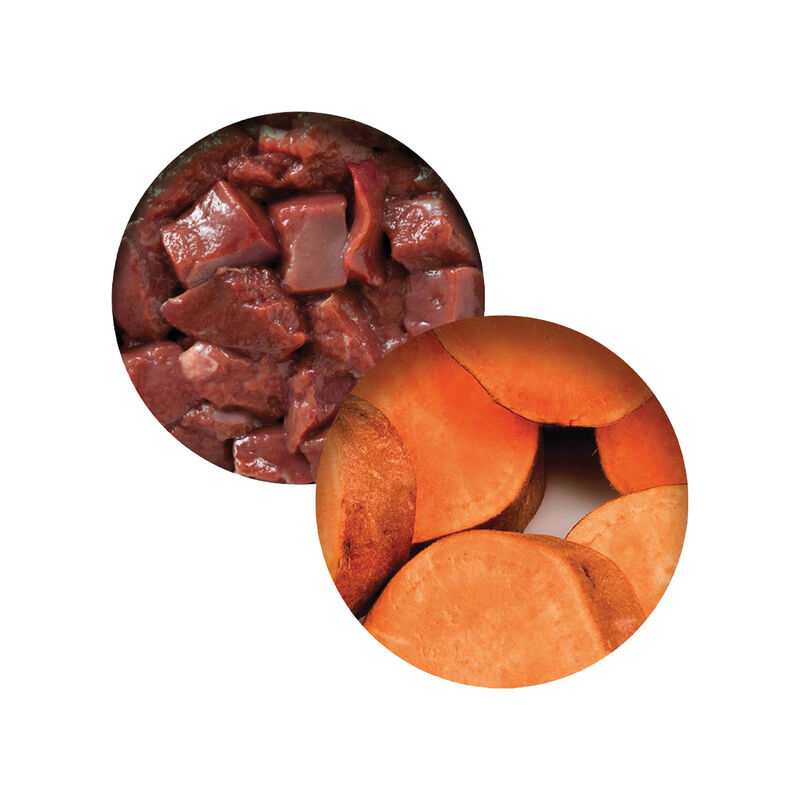 Catit, Grain Free - Chicken Dinner with Layer of Liver & Sweet Potato in Gravy - Wet Cat Food image number null