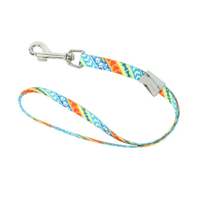 Adjustable Grooming Loop with Bolt Snap, Resolve, 5/8" x 24"