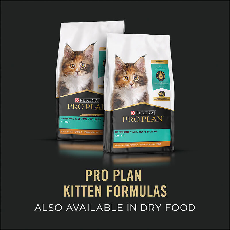 Purina Pro Plan Development Under One Year Kitten, High Protein Chicken & Liver Entr&eacute;e Wet Cat Food image number null