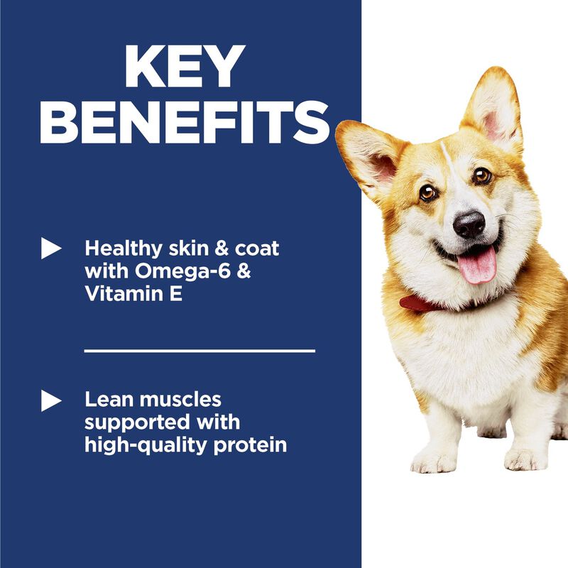 Science Diet, Adult Dog Small Bites Chicken & Barley image number null