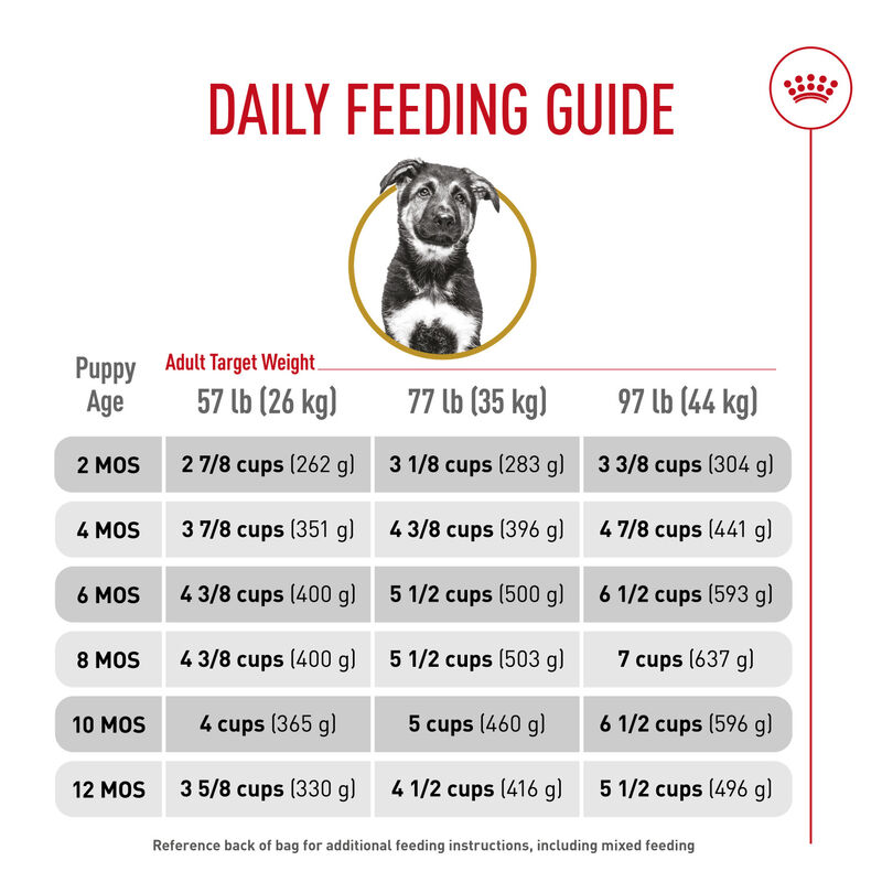 Royal Canin, Breed Health Nutrition German Shepherd Puppy - Dry Dog Food image number null