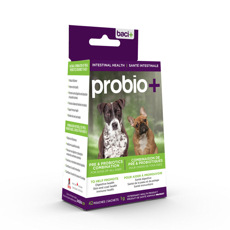 Baci+, probio+ Pre & Probiotics Combination for Dogs image number null