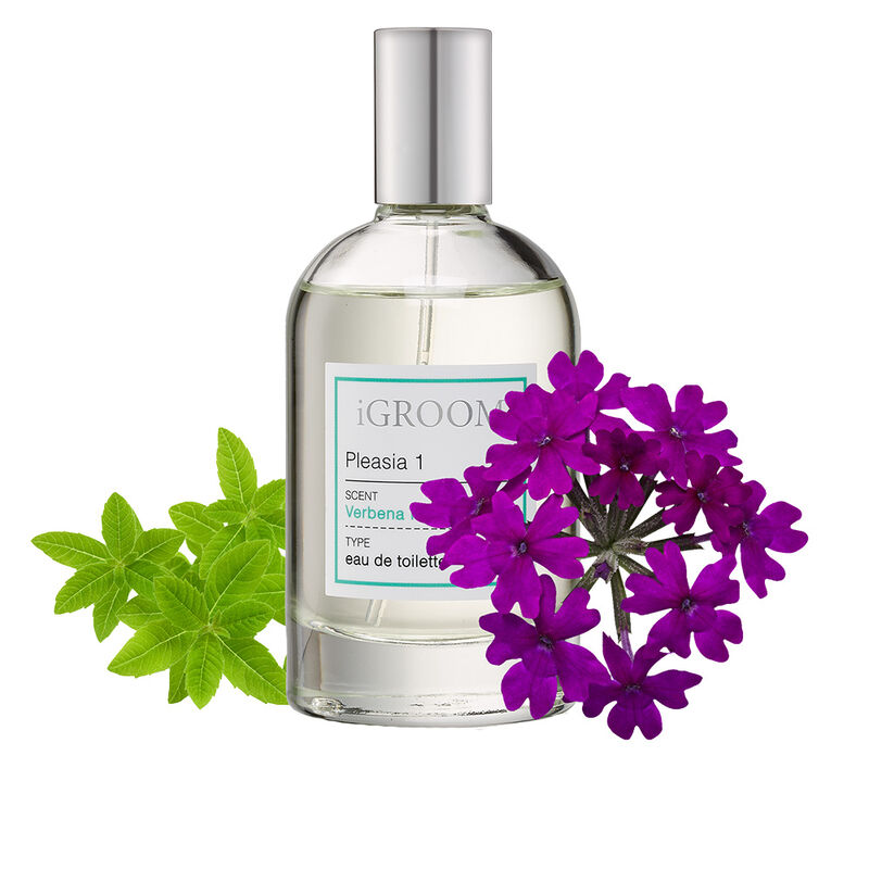 iGroom, Pleasia 1 Perfume - 100 ml image number null