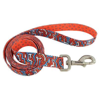 Dog Leash, Red Blue Graffiti with Red Stars, Medium/Large - 1" x 6'
