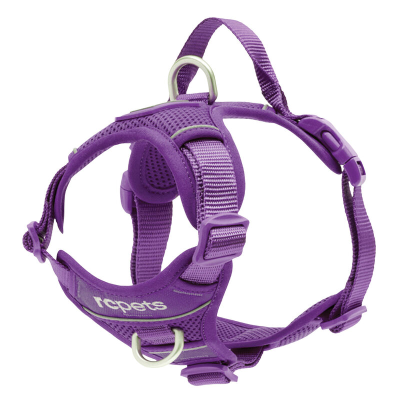 RC Pets, Momentum Harness - Purple image number null