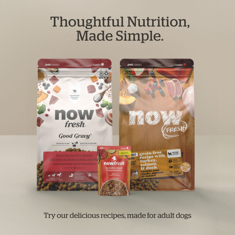 Good Gravy - Beef Coated in Bone Broth - Dry Dog Food image number null