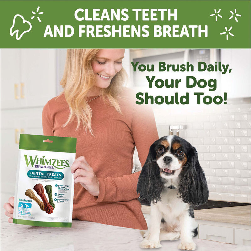 Whimzees, Dental Treat, Toothbrush Star Value Pouch -S-24 Pc image number null