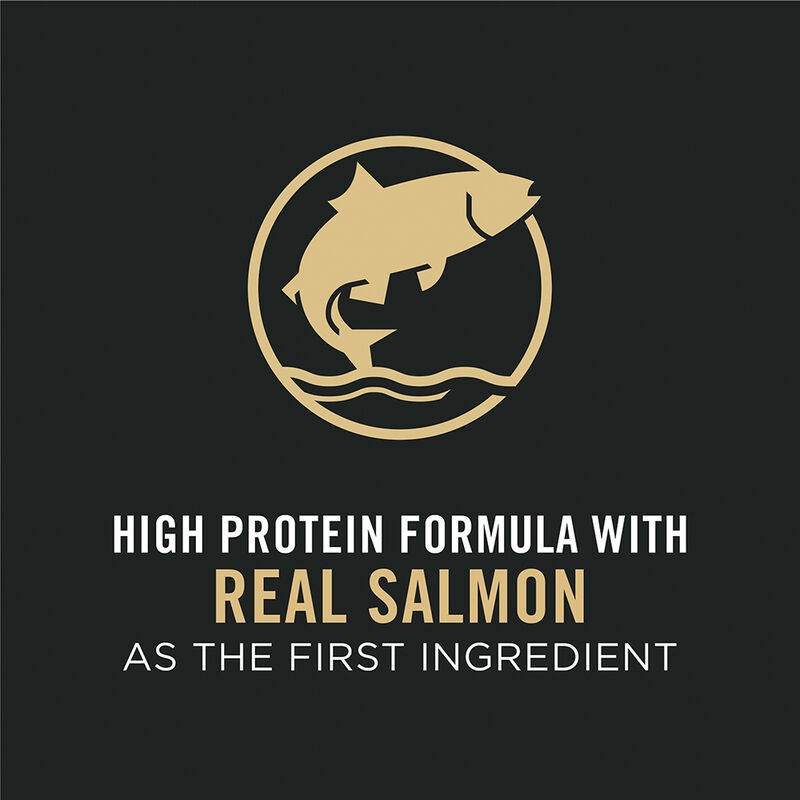 Purina Pro Plan Sensitive Skin & Stomach Puppy  with Probiotics, Salmon & Rice, Dry Dog Food Formula image number null