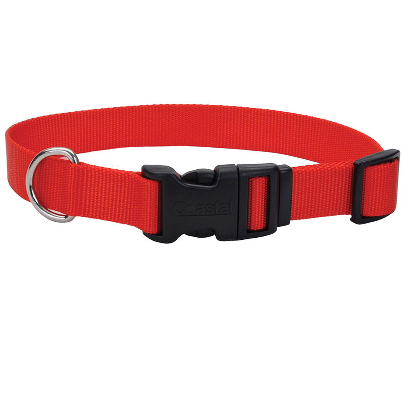 Adjustable Dog Collar with Plastic Buckle, Red, Medium - 3/4" x 14"-20" image number null