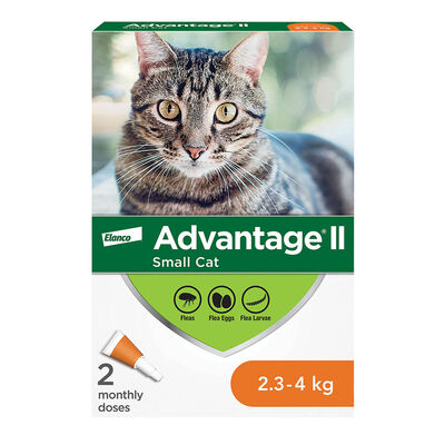 Advantage II, Small Cat Flea Treatment & Protection, 2.3-4kg