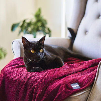 Brigade, Textured Polar Fleece Blanket - Decadent Chocolate