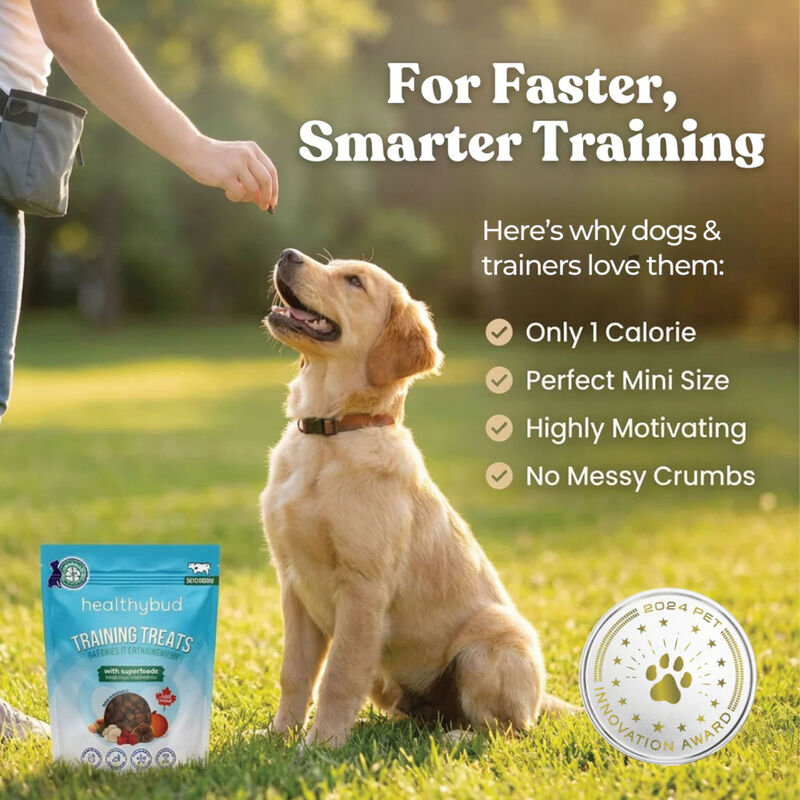 Healthybud, Beef Mini Training Treats with Superfoods image number null