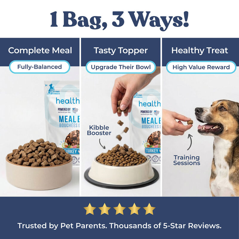Healthybud, Freeze-Dried Turkey Meal Bites 397g - Freeze Dried Dog Food image number null
