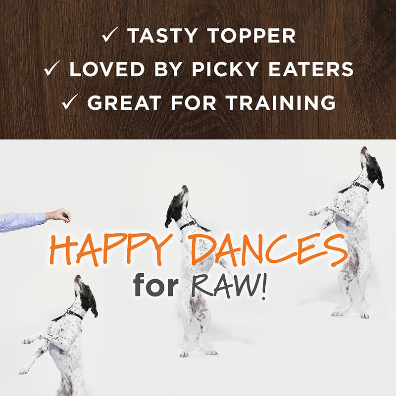 Instinct, Adult  Raw Boost Mixers  Natural Beef  170 g - Freeze Dried Dog Food image number null